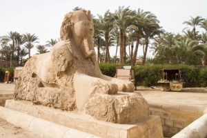 Egypt 2014 (26 of 29)